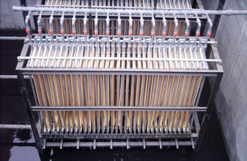 �п��w�SĤ�M��